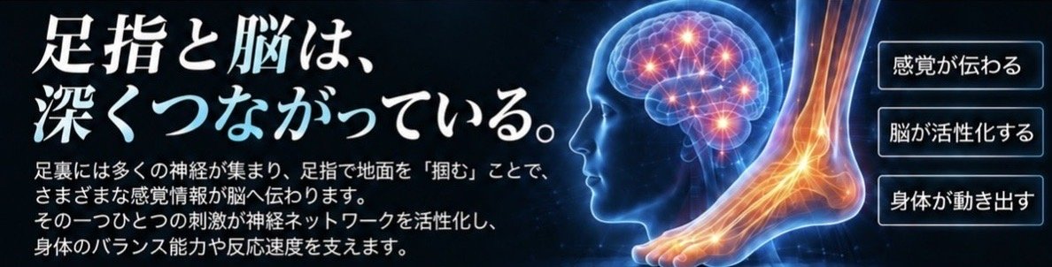 足指と脳は深くつながっている 足指で地面を掴む刺激が脳を活性化